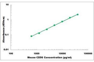 Representative Standard Curve (CD56 Kit ELISA)