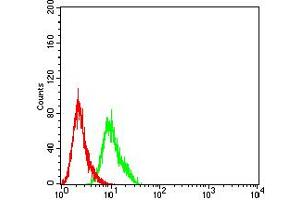 Flow cytometric analysis of Hela cells using AFAP1L2 mouse mAb (green) and negative control (red). (AFAP1L2 anticorps  (AA 674-818))