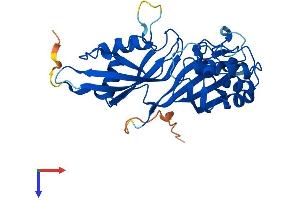 AlphaFold protein structure predicition of Human Recombinant PUSL1 Protein, UniprotID Q8N0Z8
