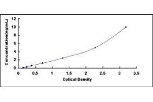 Dolichyl-diphosphooligosaccharide--Protein Glycosyltransferase (DDOST) ELISA Kit