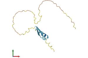 AlphaFold protein structure predicition of Human Recombinant RIPPLY2 Protein, UniprotID Q5TAB7