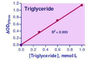 Biochemical Assay (BCA) image for Triglyceride Assay Kit (ABIN1000333)