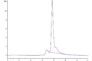 The purity of Biotinylated Mouse GARP&Latent TGF beta Complex is greater than 95 % as determined by SEC-HPLC.