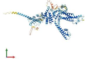AlphaFold protein structure predicition of Human Recombinant TRPC7 Protein, UniprotID Q9HCX4