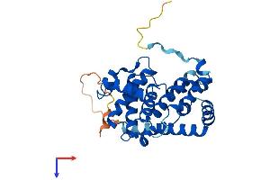 AlphaFold protein structure predicition of Mouse Recombinant Ccnd3 Protein, UniprotID P30282
