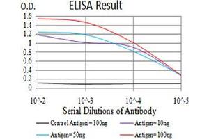 Black line: Control Antigen (100 ng);Purple line: Antigen (10ng); Blue line: Antigen (50 ng); Red line:Antigen (100 ng) (DDX1 anticorps  (AA 642-740))