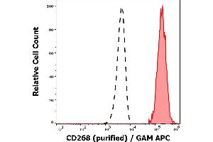 Separation of human CD268 positive lymphocytes (red-filled) from neutrophil granulocytes (black-dashed) in flow cytometry analysis (surface staining) of human peripheral whole blood stained using anti-human CD268 (11C1) purified antibody (concentration in sample 0,6 μg/mL, GAM APC).