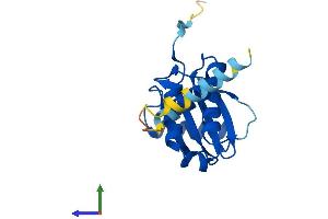 AlphaFold protein structure predicition of Human Recombinant COPZ1 Protein, UniprotID P61923
