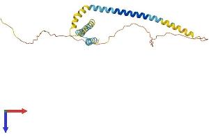 AlphaFold protein structure predicition of Mouse Recombinant Reep2 Protein, UniprotID Q8VCD6