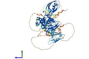 AlphaFold protein structure predicition of Human Recombinant LNX1 Protein, UniprotID Q8TBB1