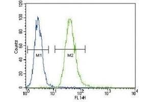 TNFR1 antibody flow cytometric analysis of A549 cells (green) compared to a negative control (blue).