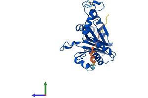 AlphaFold protein structure predicition of Human Recombinant PSMA1 Protein, UniprotID P25786