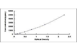 Typical standard curve (CD160 Kit ELISA)