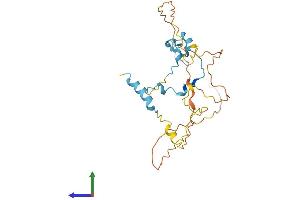AlphaFold protein structure predicition of Human Recombinant CDC42EP3 Protein, UniprotID Q9UKI2