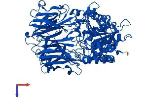 AlphaFold protein structure predicition of Human Recombinant PREP Protein, UniprotID P48147