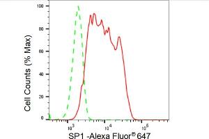 Flow cytometric analysis of SP1 expression in HeLa cells using SP1 antibody (ABIN7800414), 1:2,000).
