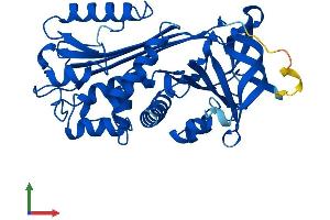 AlphaFold protein structure predicition of Mouse Recombinant Serpinb5 Protein, UniprotID P70124