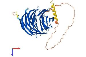 AlphaFold protein structure predicition of Human Recombinant PAK1IP1 Protein, UniprotID Q9NWT1