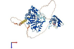 AlphaFold protein structure predicition of Human Recombinant MOCS1 Protein, UniprotID Q9NZB8