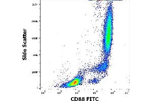 Flow cytometry surface staining pattern of human peripheral whole blood stained using anti-human CD88 (S5/1) FITC antibody (4 μL reagent / 100 μL of peripheral whole blood). (C5AR1 anticorps  (AA 15-27) (FITC))