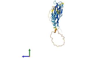 AlphaFold protein structure predicition of Mouse Recombinant Mospd3 Protein, UniprotID Q8BGG6