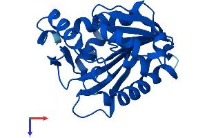 AlphaFold protein structure predicition of Mouse Recombinant Ntmt1 Protein, UniprotID Q8R2U4