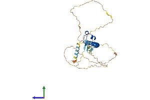 AlphaFold protein structure predicition of Human Recombinant NFE2 Protein, UniprotID Q16621