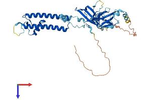 AlphaFold protein structure predicition of Mouse Recombinant Kcnj11 Protein, UniprotID Q61743
