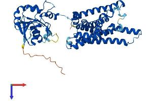 AlphaFold protein structure predicition of Human Recombinant STEAP4 Protein, UniprotID Q687X5