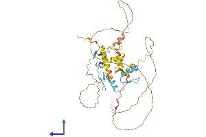 AlphaFold protein structure predicition of Mouse Recombinant Ikzf5 Protein, UniprotID Q8BU00