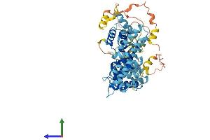 AlphaFold protein structure predicition of Mouse Recombinant Depdc7 Protein, UniprotID Q91WS7