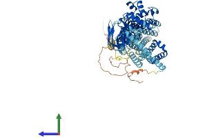 AlphaFold protein structure predicition of Human Recombinant ABCD1 Protein, UniprotID P33897