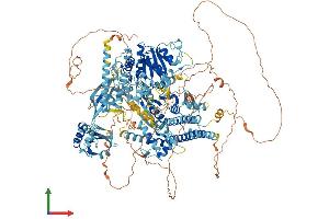 AlphaFold protein structure predicition of Human Recombinant SBNO1 Protein, UniprotID A3KN83