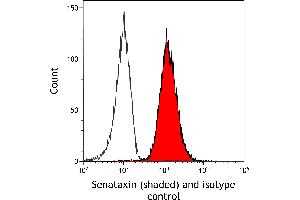 anti-Senataxin (SETX) (AA 900-950) antibody