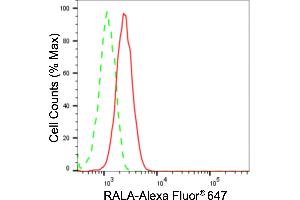 anti-Ras-related Protein Ral-A (rala) antibody