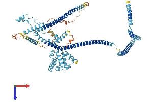 AlphaFold protein structure predicition of Mouse Recombinant Ccdc22 Protein, UniprotID Q9JIG7