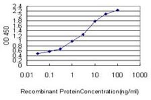 Detection limit for recombinant GST tagged CRTAP is approximately 0. (CRTAP anticorps  (AA 307-401))