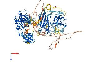 AlphaFold protein structure predicition of Mouse Recombinant Map4k2 Protein, UniprotID Q61161