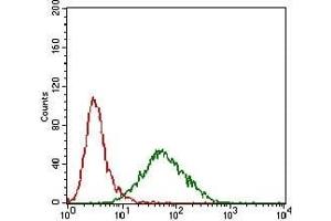 Flow cytometric analysis of Hela cells using PRL mouse mAb (green) and negative control (red).