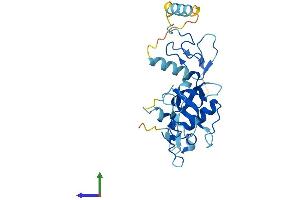 AlphaFold protein structure predicition of Human Recombinant ZFAND1 Protein, UniprotID Q8TCF1
