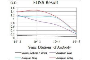ELISA image for anti-Calcium/calmodulin-Dependent Protein Kinase IV (CAMK4) (AA 35-292) antibody (ABIN1845379)