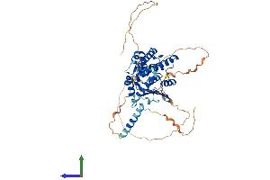 AlphaFold protein structure predicition of Human Recombinant MTX1 Protein, UniprotID Q13505