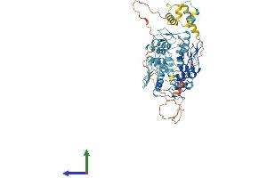 AlphaFold protein structure predicition of Human Recombinant ZSCAN2 Protein, UniprotID Q7Z7L9