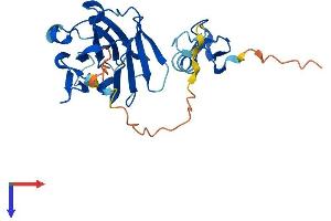 AlphaFold protein structure predicition of Human Recombinant NEURL3 Protein, UniprotID Q96EH8