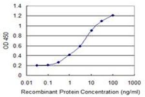 Detection limit for recombinant GST tagged KLHL2 is 0.