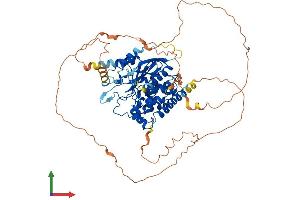 AlphaFold protein structure predicition of Human Recombinant MTMR14 Protein, UniprotID Q8NCE2