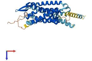 G Protein-Coupled Receptor 15 (GPR15) (AA 1-360) protein (His tag)