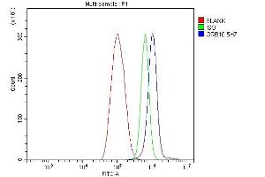 Flow Cytometry analysis of THP-1 cells using anti-GRB10 antibody (ABIN7599161). (GRB10 anticorps  (AA 1-251))
