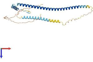 AlphaFold protein structure predicition of Mouse Recombinant Epsti1 Protein, UniprotID Q8VDI1