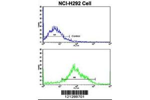Flow cytometric analysis of NCI-H292 cells using MyoGEF Antibody (N-term)(bottom histogram) compared to a negative control cell (top histogram). (PLEKHG6 anticorps  (N-Term))
